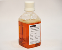 CellMax澳洲特级胎牛血清 500ml未辐照